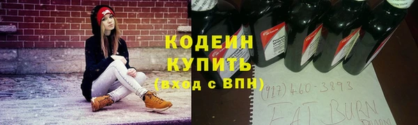 молекула духа Козловка