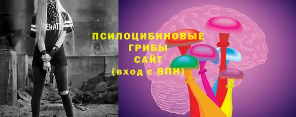 ешки Кодинск