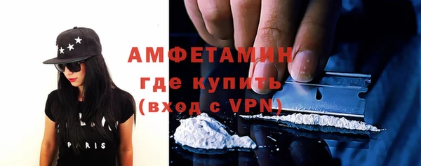 молекула духа Козловка
