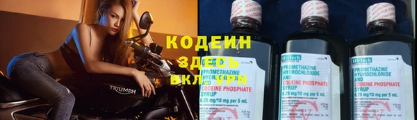 ешки Кодинск