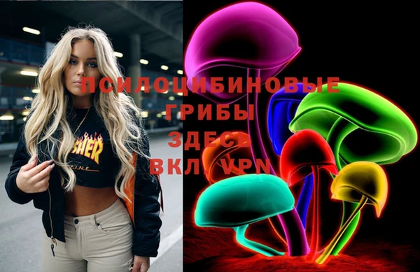 марки lsd Козельск