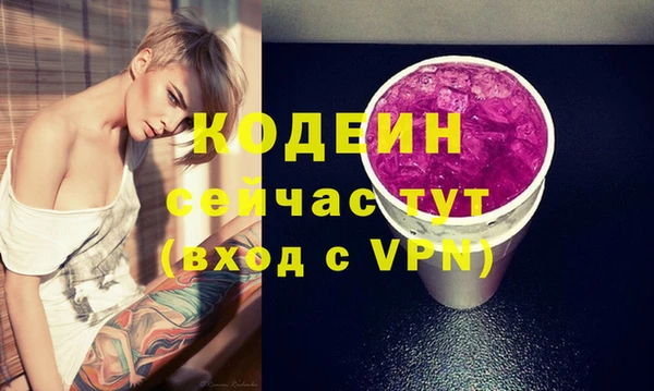 молекула духа Козловка