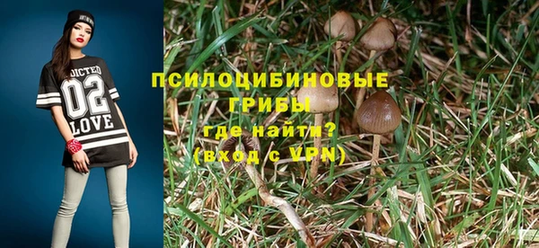 молекула духа Козловка