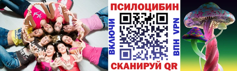 Купить закладки  Аткарск  Псилоцибиновые грибы Psilocybine cubensis 